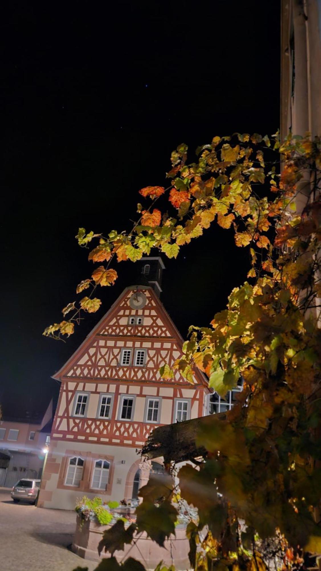 Brunnenputzer Pension Restaurant キュルスハイム エクステリア 写真